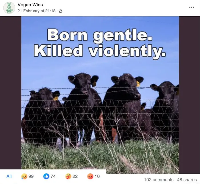 Vegan Wins